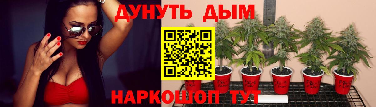 Каннабис Amnesia Саров